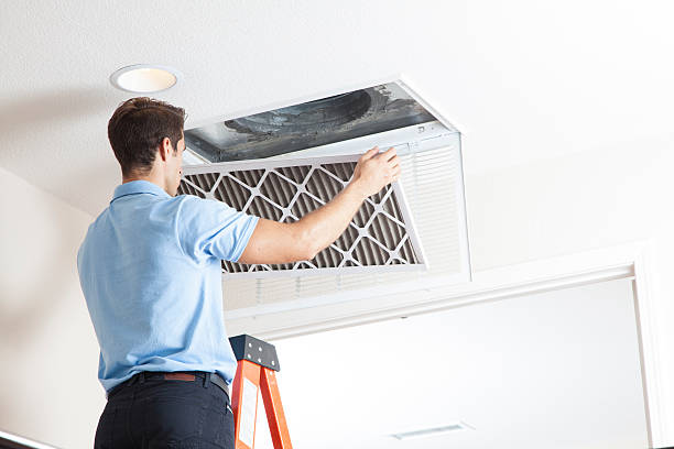 Best HVAC companies near me  in Lake Odessa, MI